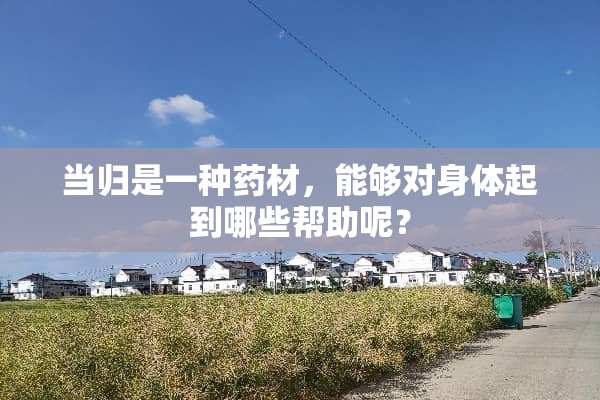 当归是一种药材，能够对身体起到哪些帮助呢？