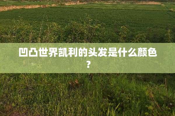 凹凸世界凯利的头发是什么颜色？