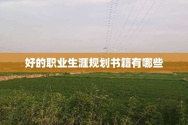 好的职业生涯规划书籍有哪些
