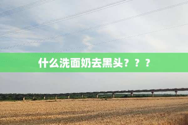 什么洗面奶去黑头？？？
