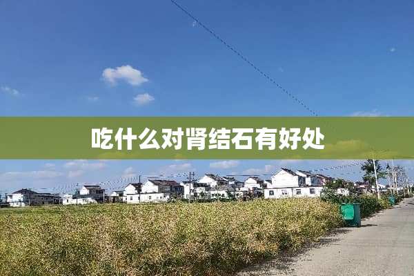 吃什么对肾结石有好处