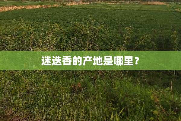 迷迭香的产地是哪里？