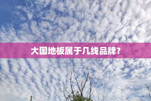 大国地板属于几线品牌？