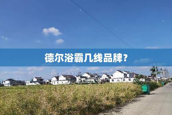 德尔浴霸几线品牌？