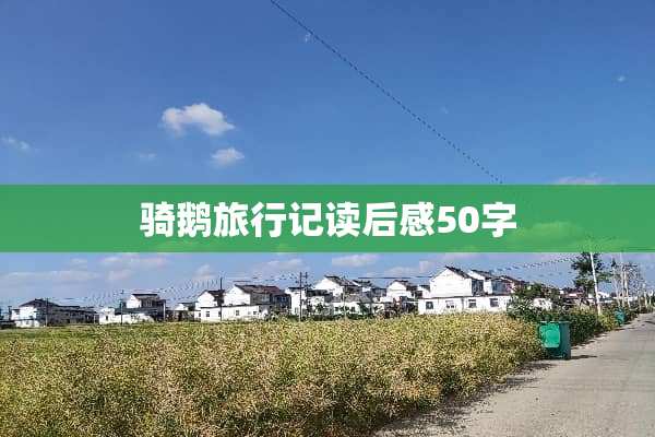 骑鹅旅行记读后感50字