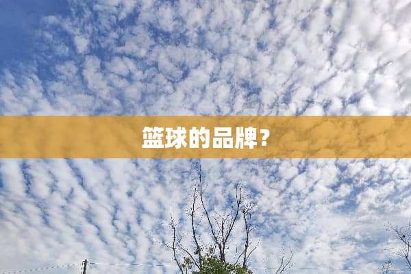 篮球的品牌？
