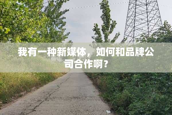 我有一种新媒体，如何和品牌公司合作啊？