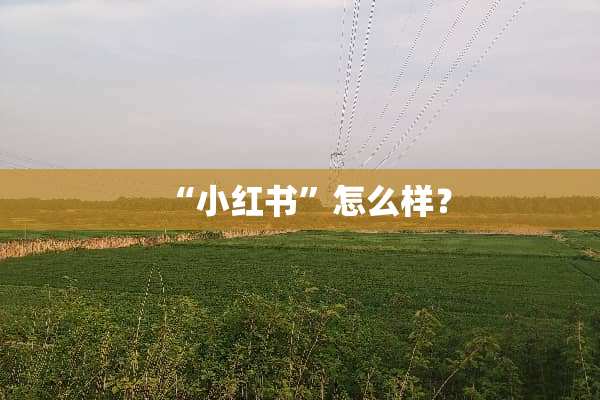 “小红书”怎么样？
