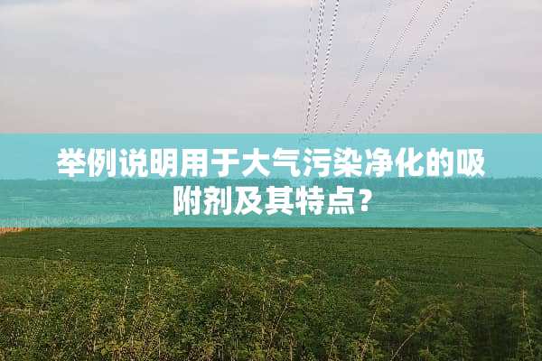 举例说明用于大气污染净化的吸附剂及其特点？