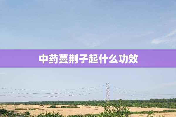 中药蔓荆子起什么功效