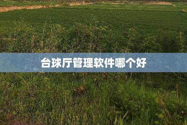 台球厅管理软件哪个好