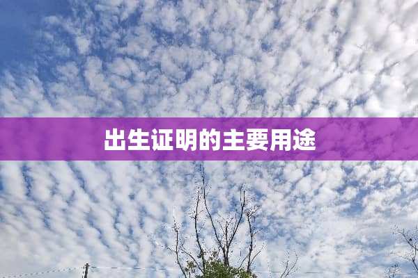 出生证明的主要用途