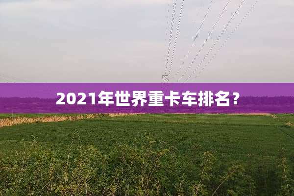 2021年世界重卡车排名？