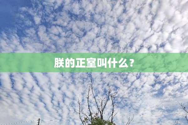 朕的正室叫什么？