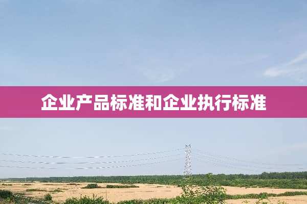 企业产品标准和企业执行标准