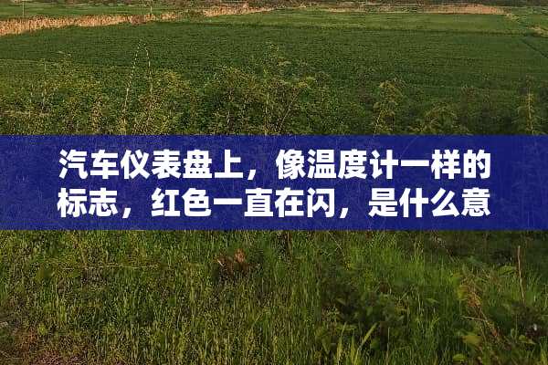 汽车仪表盘上，像温度计一样的标志，红色一直在闪，是什么意思？