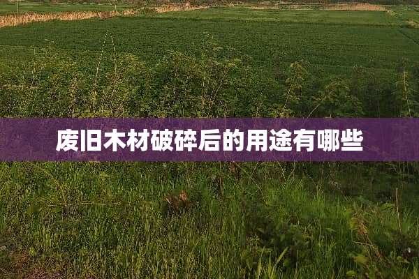 废旧木材破碎后的用途有哪些