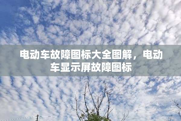 电动车故障图标大全图解，电动车显示屏故障图标