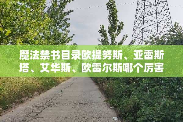 魔法**目录欧提努斯、亚雷斯塔、艾华斯、欧雷尔斯哪个厉害？谁最厉害？