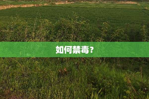 如何禁毒？