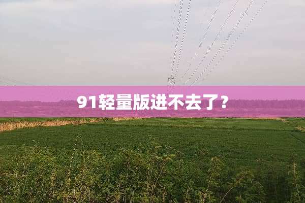 91轻量版进不去了？