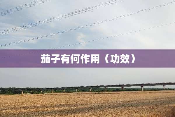 茄子有何作用（功效）