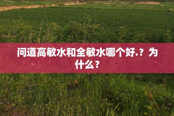 问道高敏水和全敏水哪个好.？为什么？