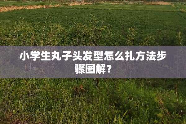 小学生丸子头发型怎么扎方法步骤图解？
