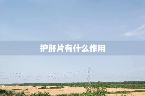 护肝片有什么作用