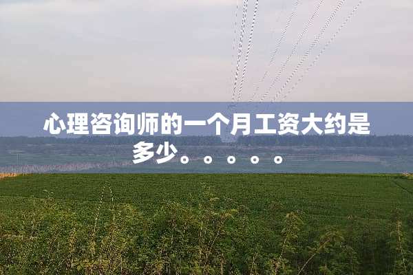 心理咨询师的一个月工资大约是多少。。。。。