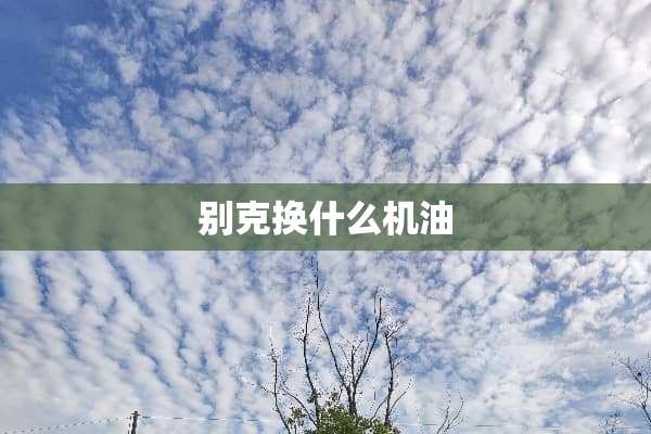 别克换什么机油