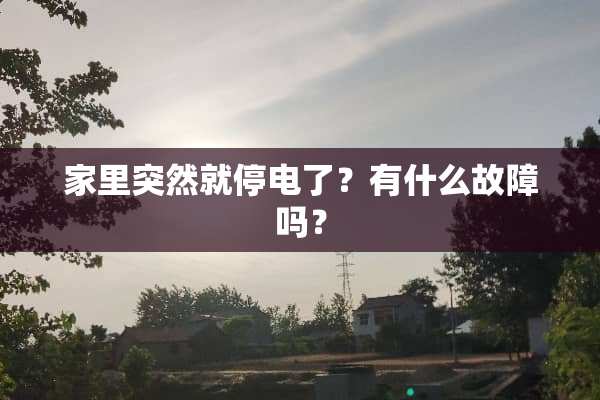 家里突然就停电了？有什么故障吗？