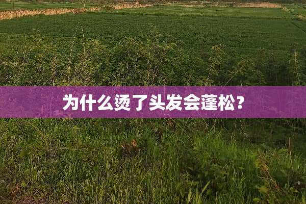 为什么烫了头发会蓬松？