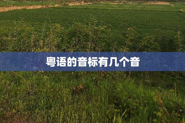 粤语的音标有几个音