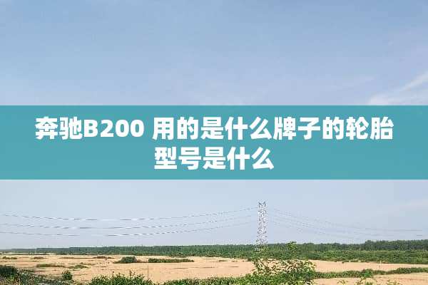 奔驰B200 用的是什么牌子的轮胎型号是什么