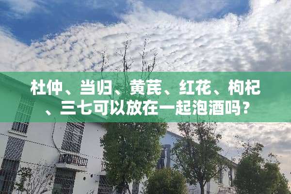 杜仲、当归、黄芪、红花、枸杞、三七可以放在一起泡酒吗？