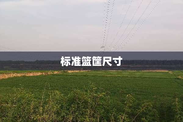 标准篮筐尺寸