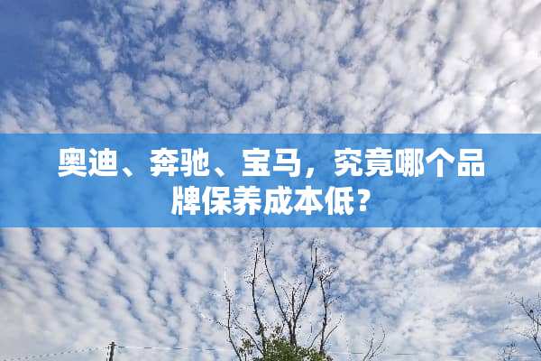 奥迪、奔驰、宝马，究竟哪个品牌保养成本低？