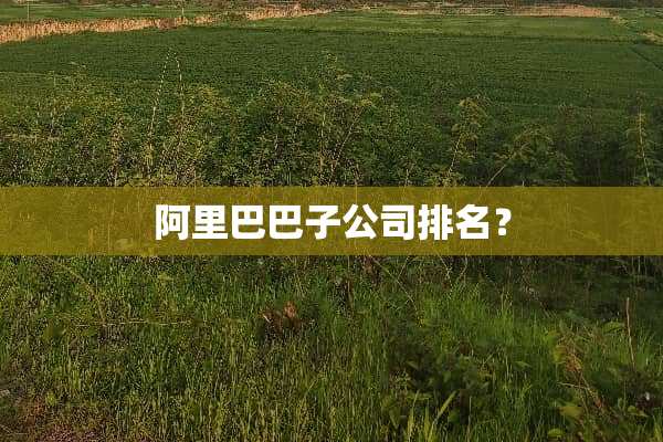 阿里巴巴子公司排名？
