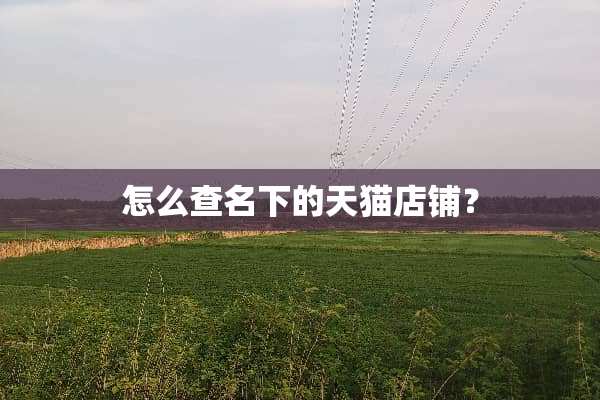 怎么查名下的天猫店铺？