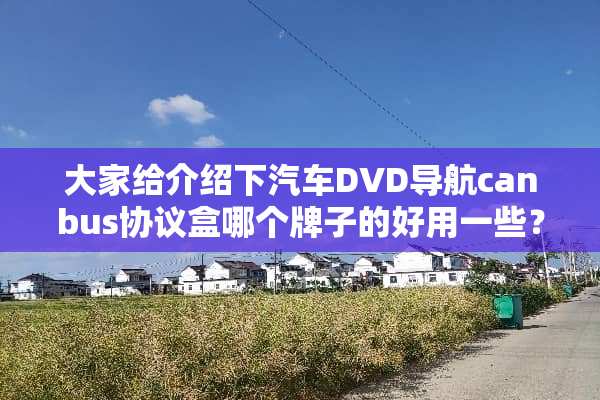大家给介绍下汽车DVD导航canbus协议盒哪个牌子的好用一些？