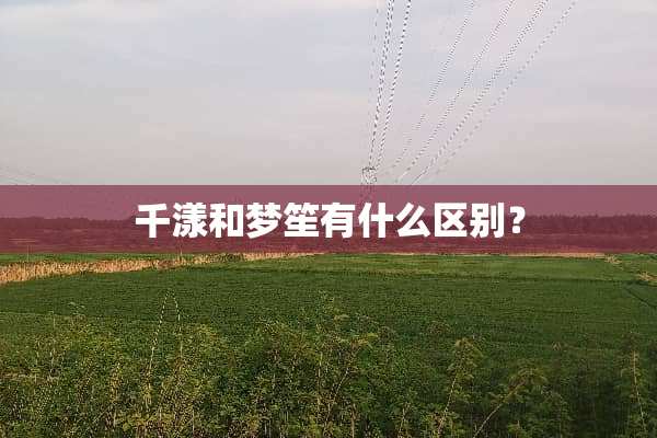千漾和梦笙有什么区别？