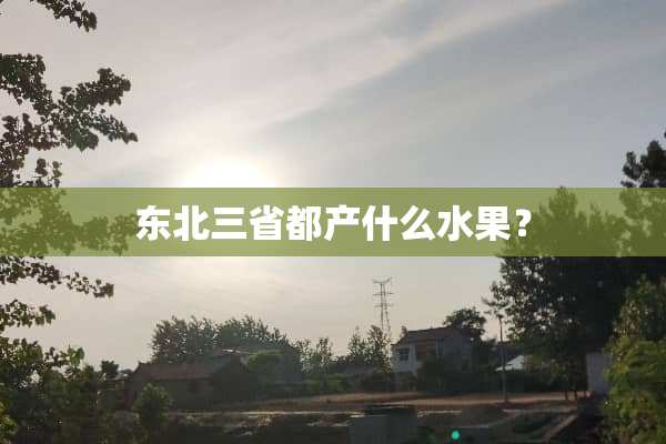 东北三省都产什么水果？