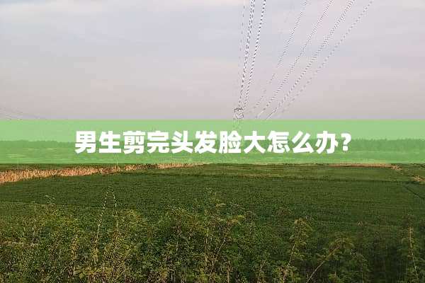 男生剪完头发脸大怎么办？