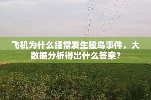 飞机为什么经常发生撞鸟事件，大数据分析得出什么答案？
