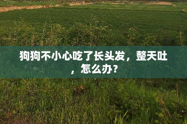 狗狗不小心吃了长头发，整天吐，怎么办？