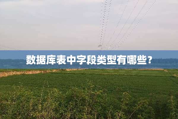 数据库表中字段类型有哪些？