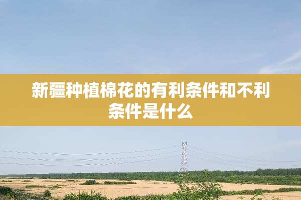 新疆种植棉花的有利条件和不利条件是什么