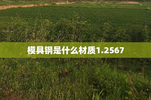 模具钢是什么材质1.2567