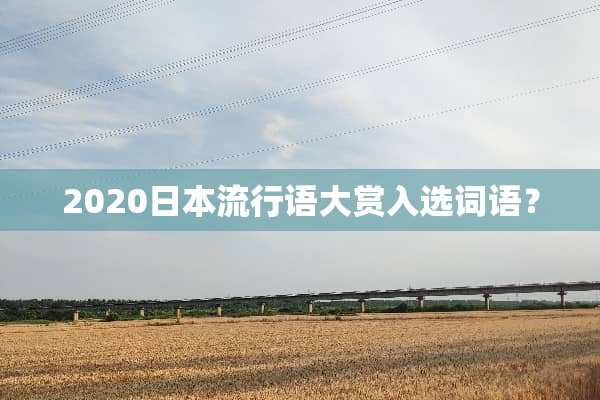 2020日本流行语大赏入选词语？